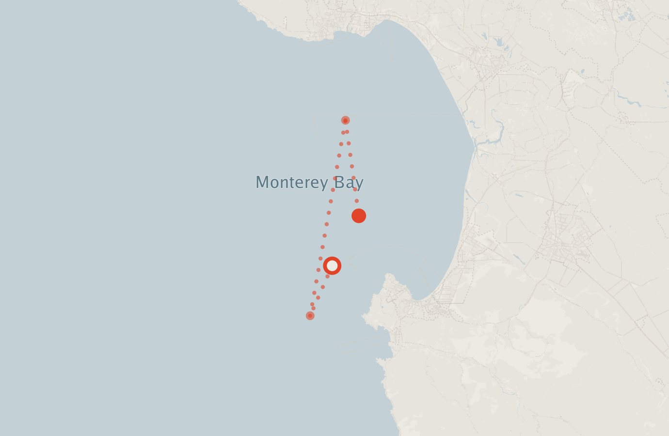 Activity map — real sighting points on an OpenStreetMap basemap