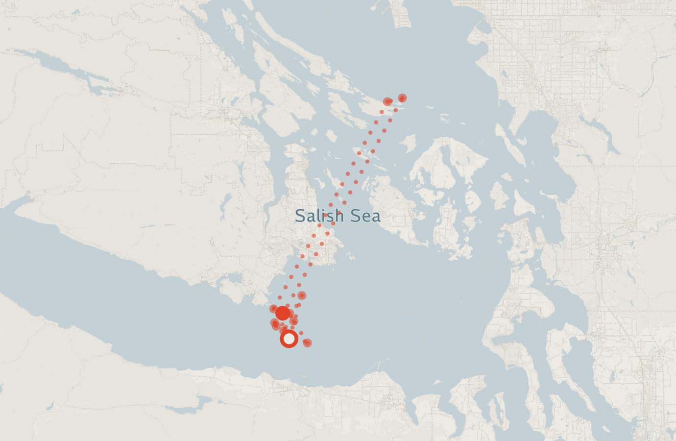 Activity map — real sighting points on an OpenStreetMap basemap