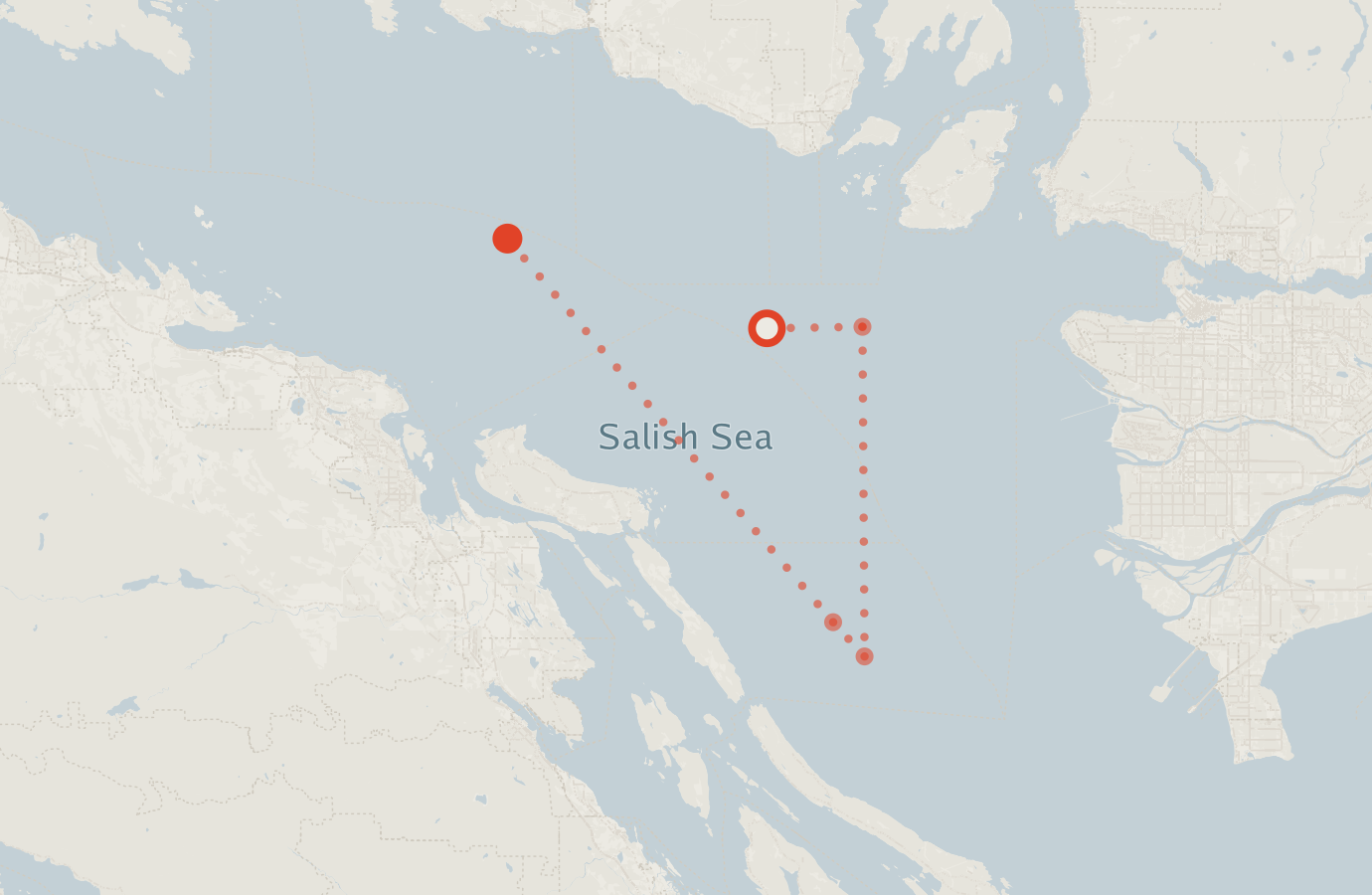 Activity map — real sighting points on an OpenStreetMap basemap