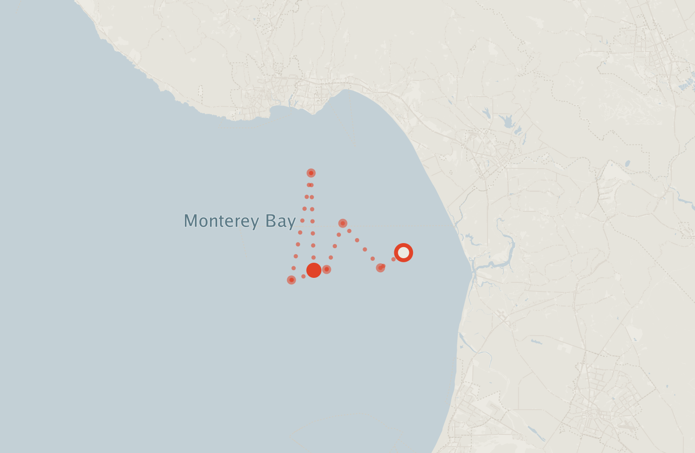 Activity map — real sighting points on an OpenStreetMap basemap