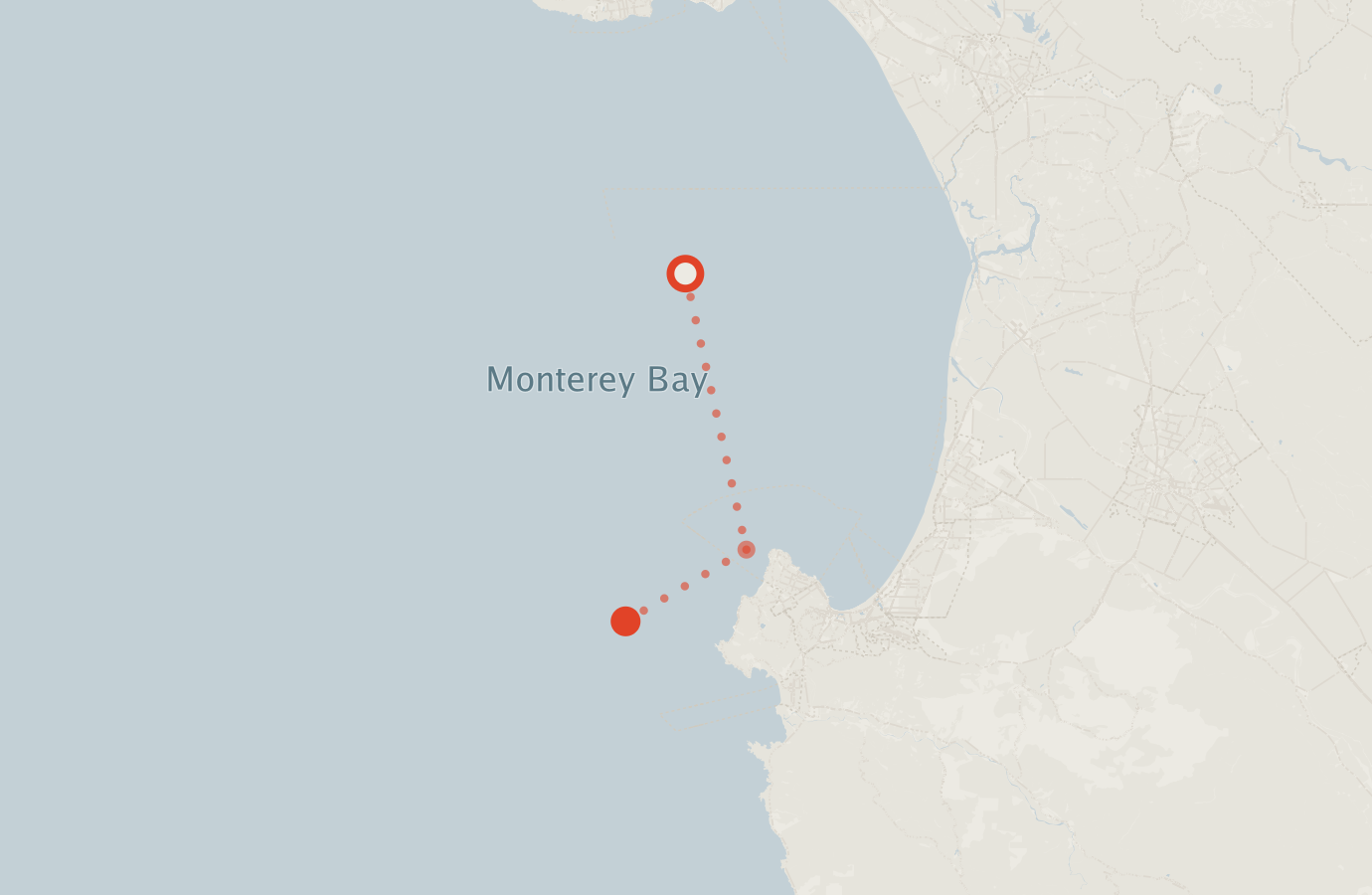 Activity map — real sighting points on an OpenStreetMap basemap