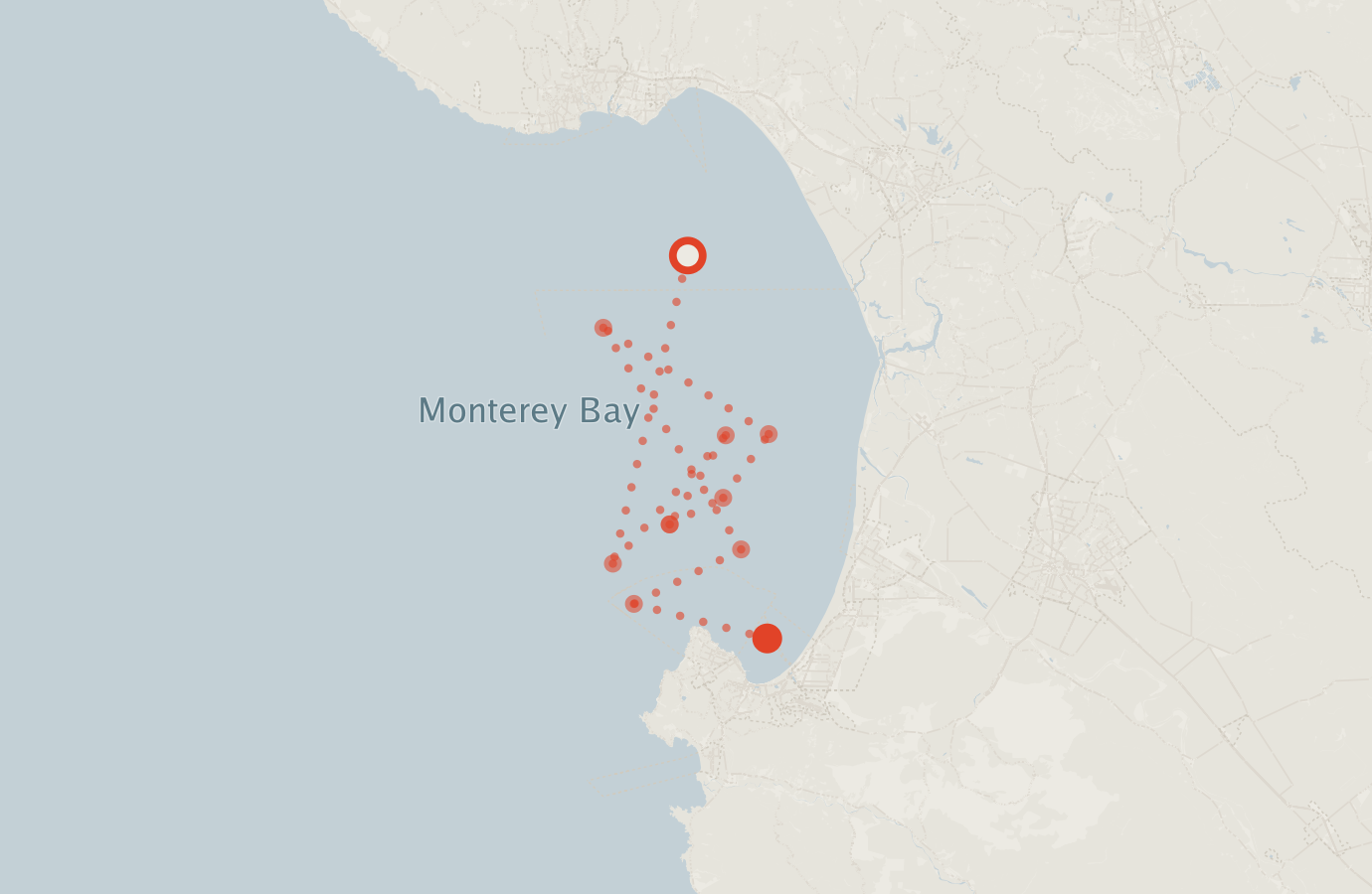 Activity map — real sighting points on an OpenStreetMap basemap
