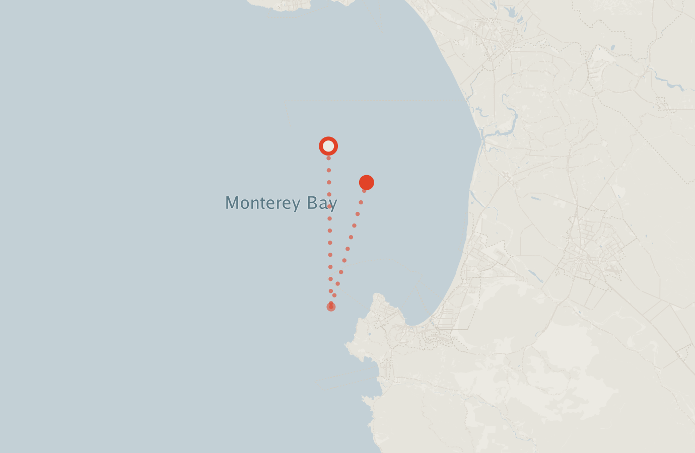 Activity map — real sighting points on an OpenStreetMap basemap