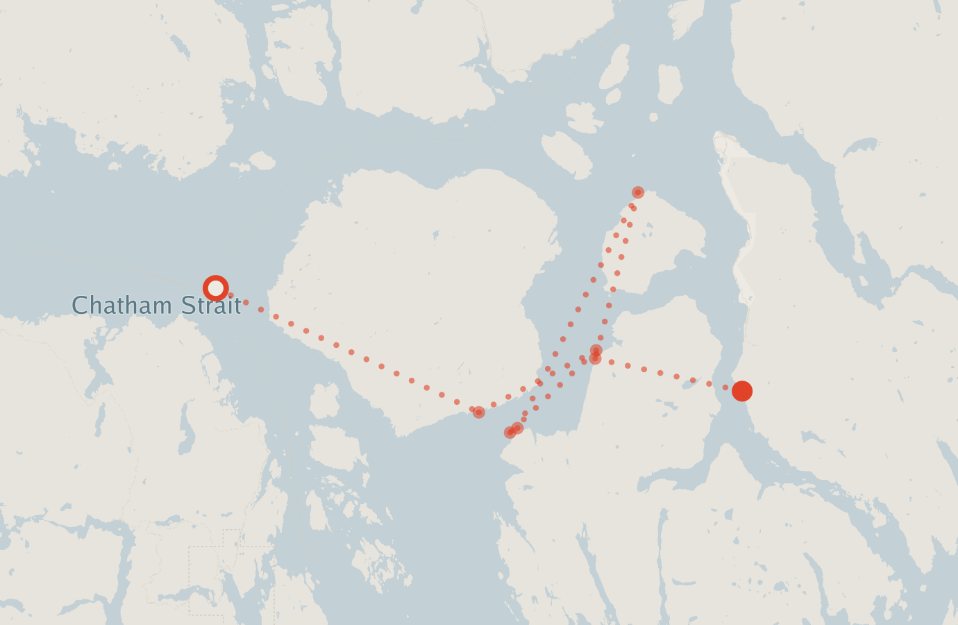 Activity map — real sighting points on an OpenStreetMap basemap