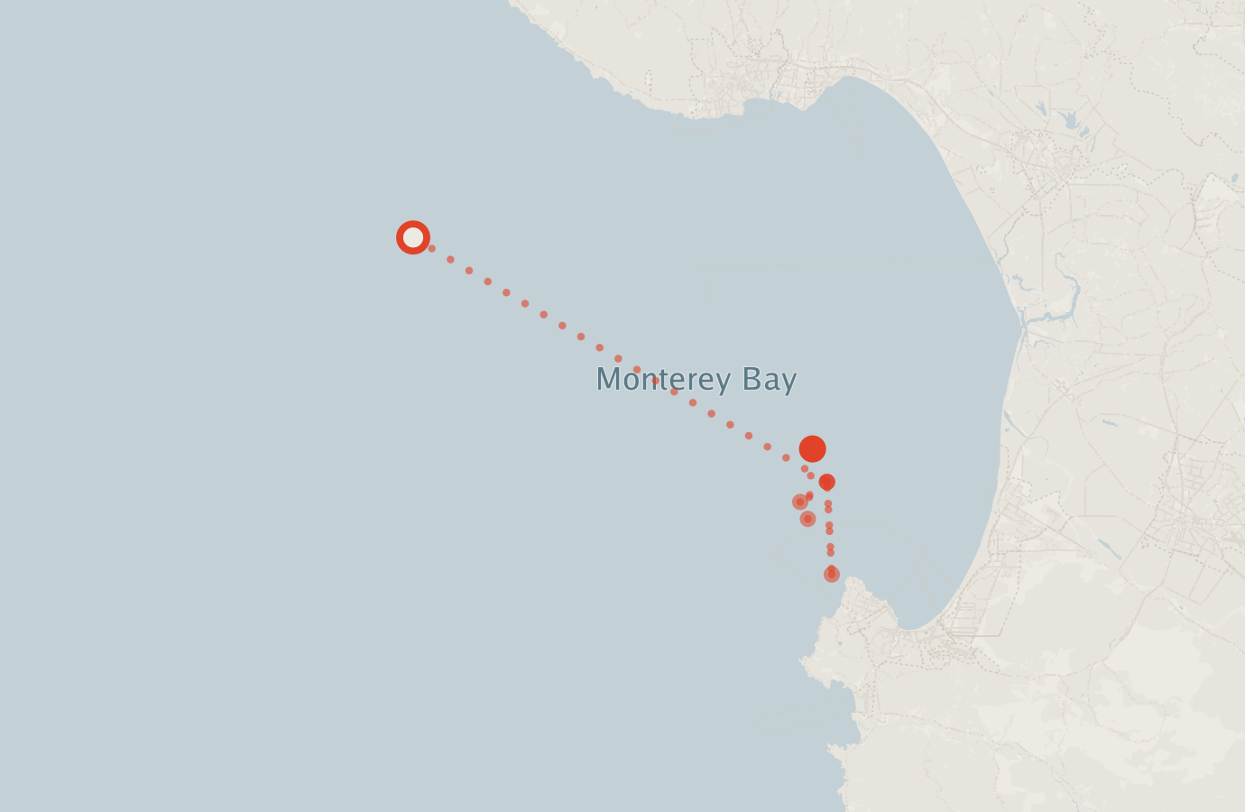 Activity map — real sighting points on an OpenStreetMap basemap