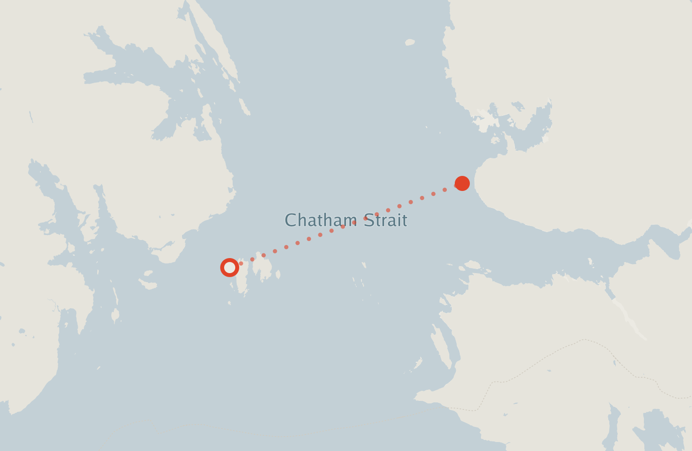 Activity map — real sighting points on an OpenStreetMap basemap