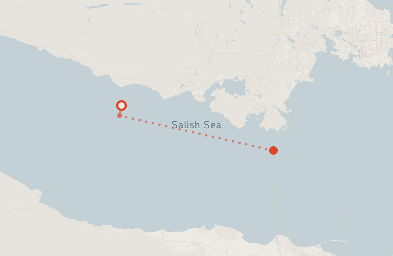 Activity map — real sighting points on an OpenStreetMap basemap