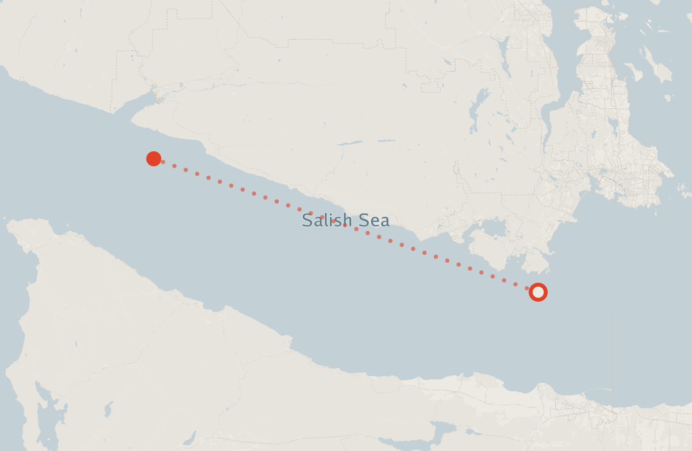 Activity map — real sighting points on an OpenStreetMap basemap