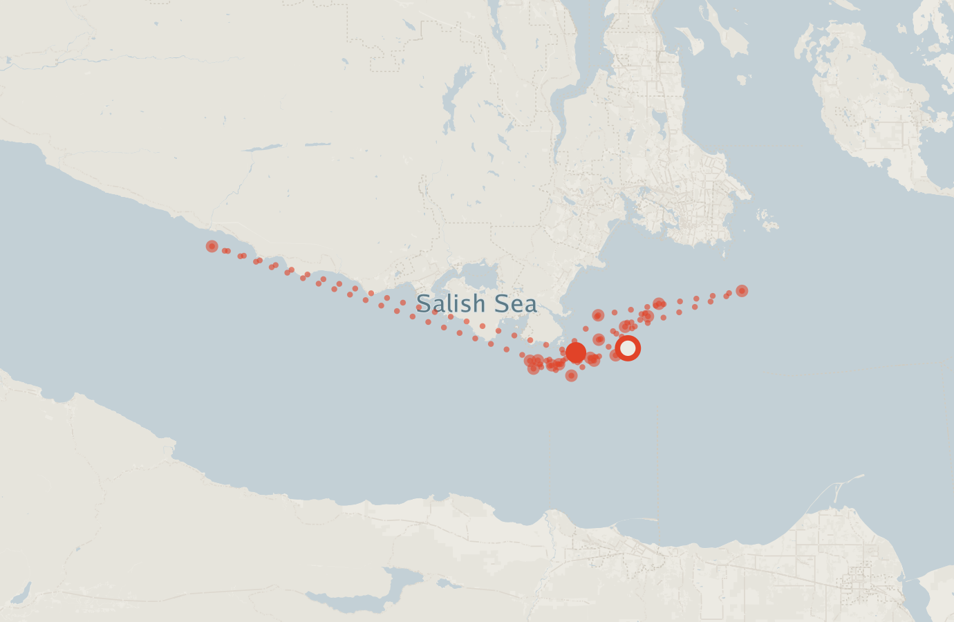 Activity map — real sighting points on an OpenStreetMap basemap