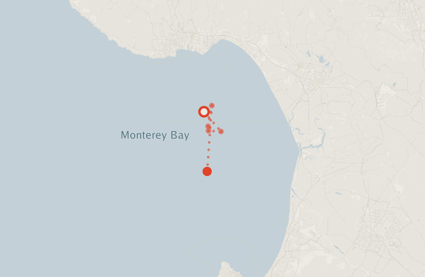 Activity map — real sighting points on an OpenStreetMap basemap