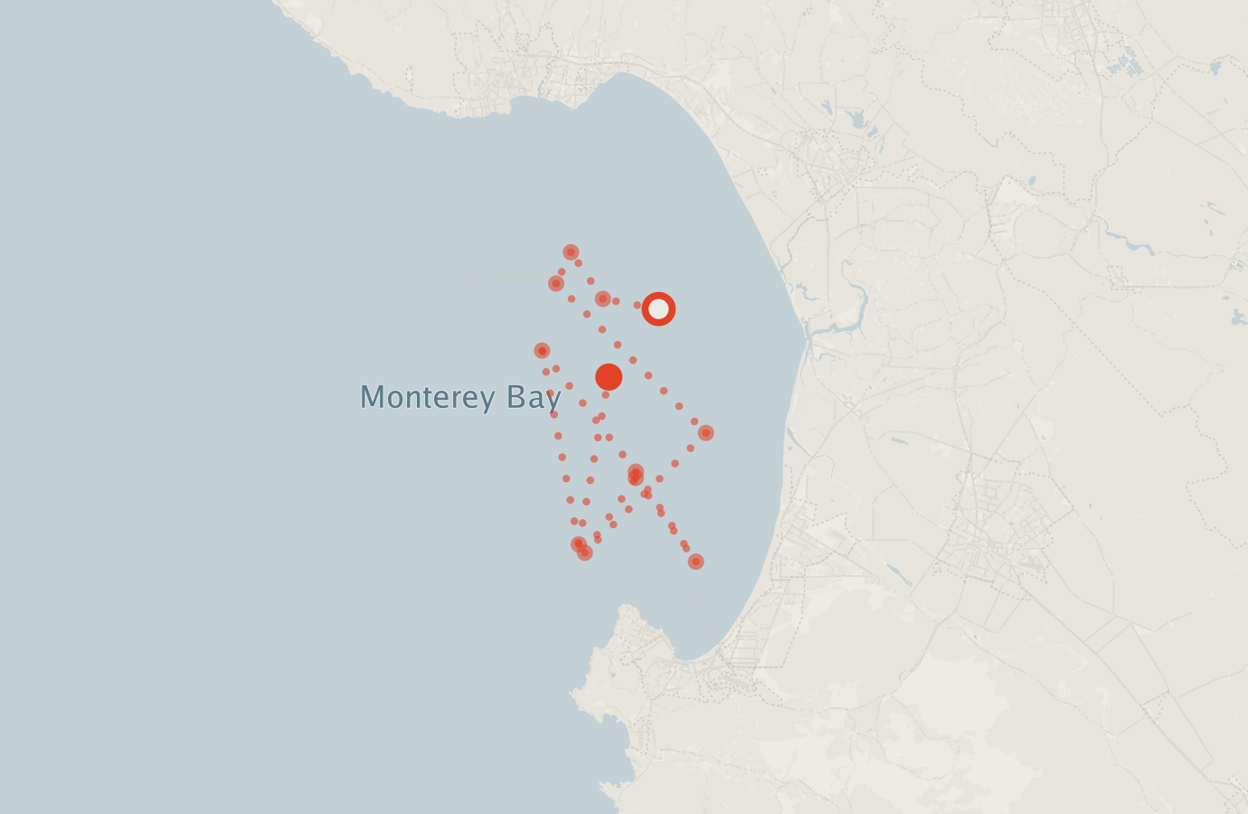 Activity map — real sighting points on an OpenStreetMap basemap