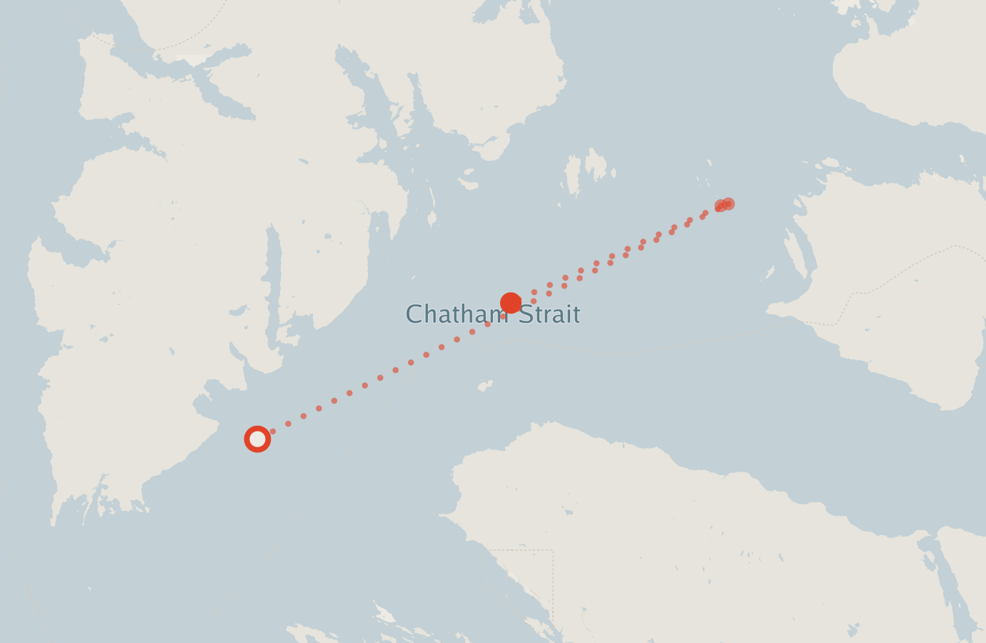 Activity map — real sighting points on an OpenStreetMap basemap