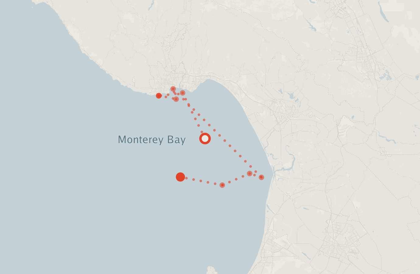 Activity map — real sighting points on an OpenStreetMap basemap
