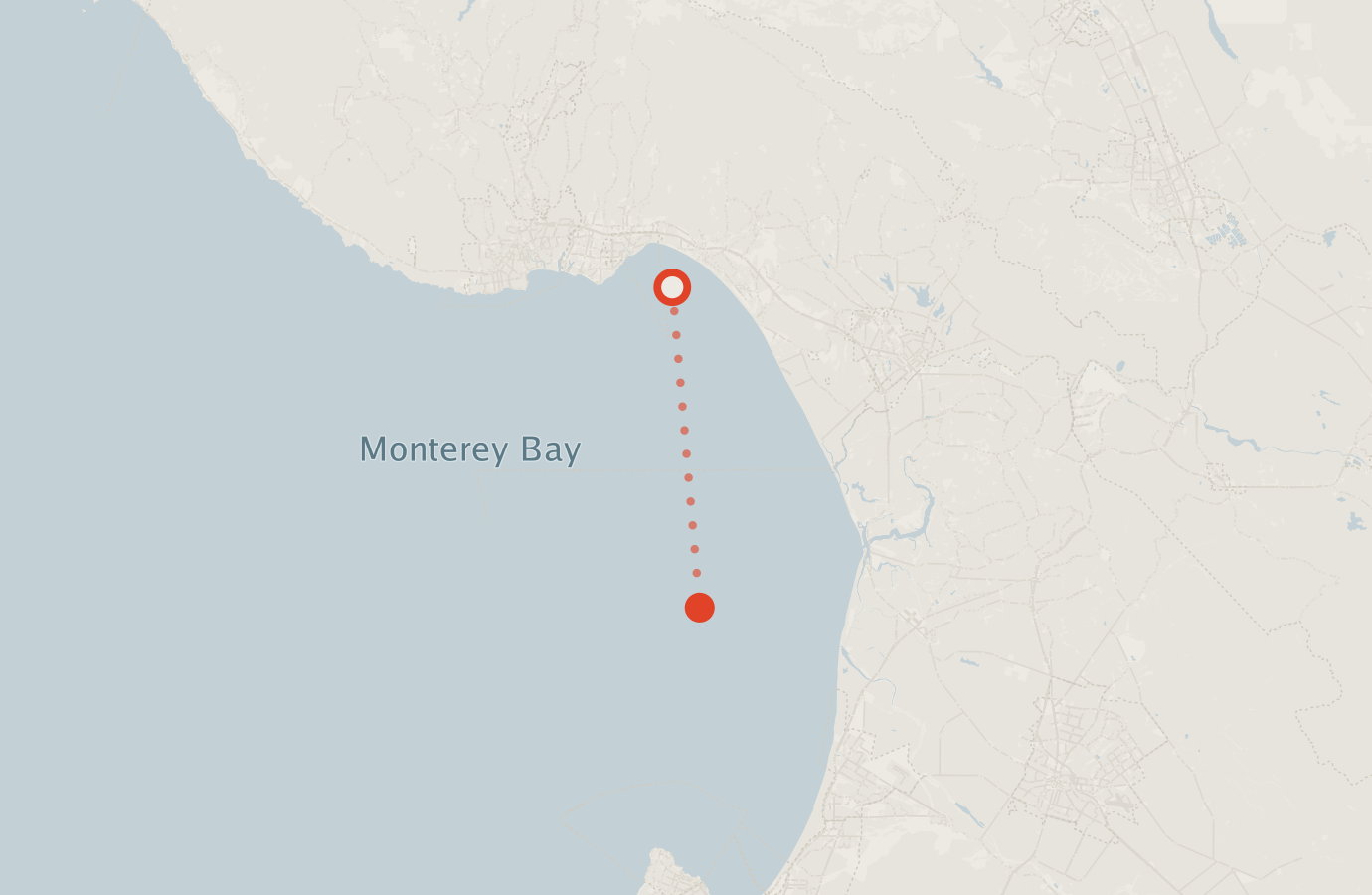 Activity map — real sighting points on an OpenStreetMap basemap