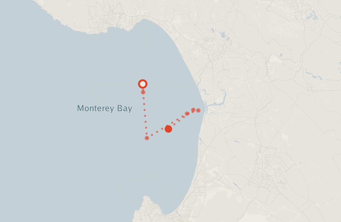 Activity map — real sighting points on an OpenStreetMap basemap