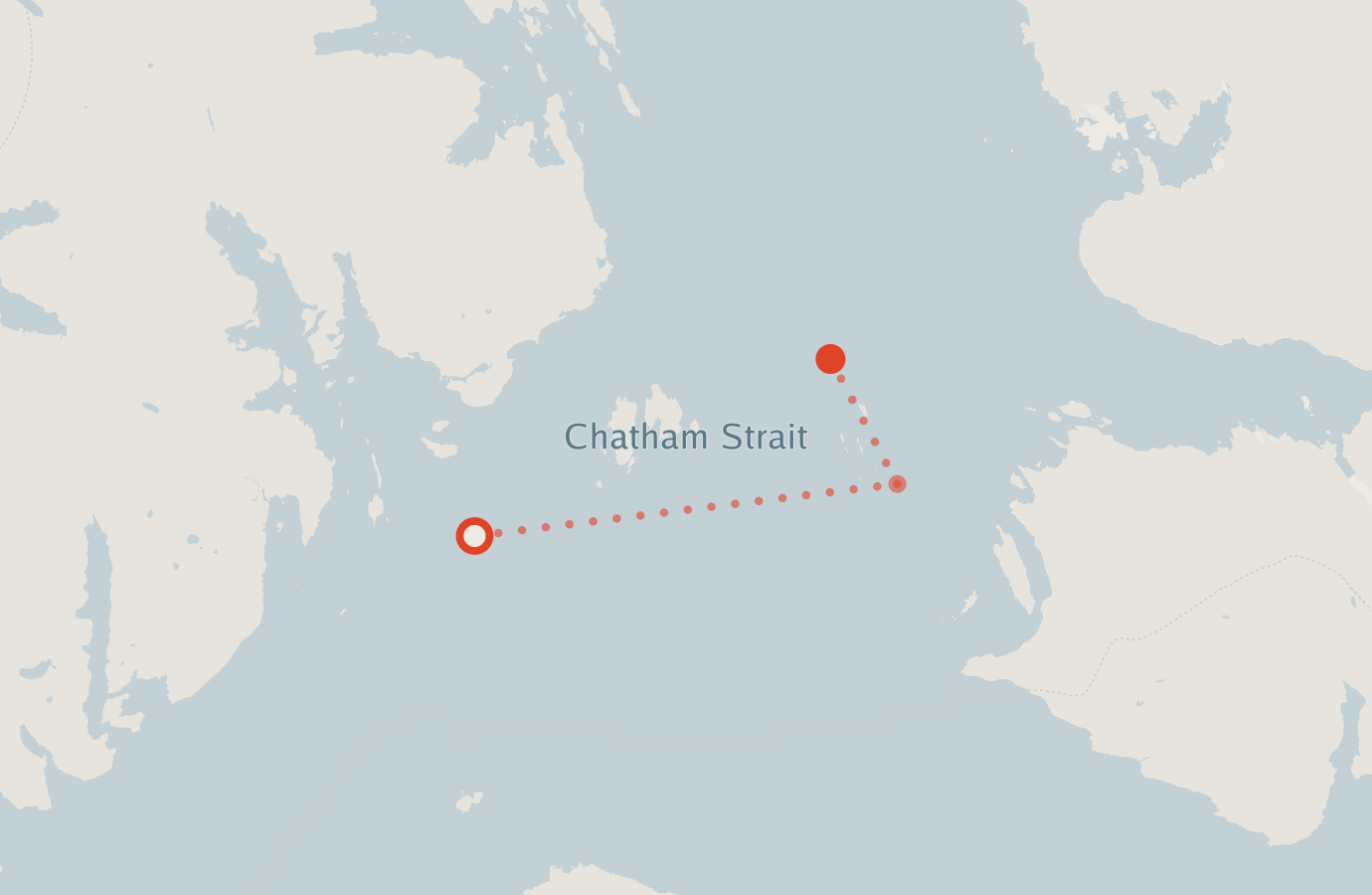 Activity map — real sighting points on an OpenStreetMap basemap