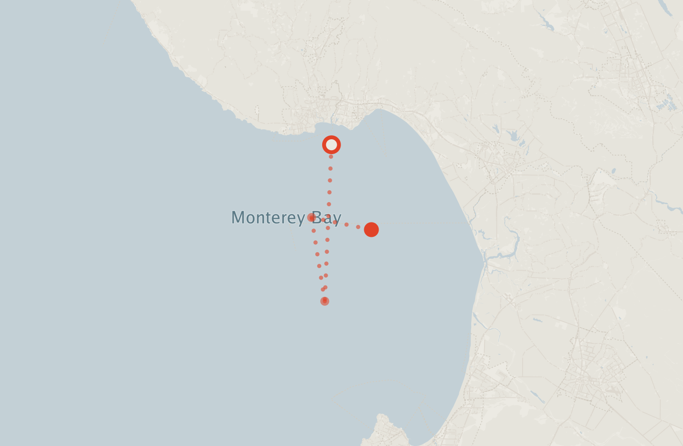 Activity map — real sighting points on an OpenStreetMap basemap