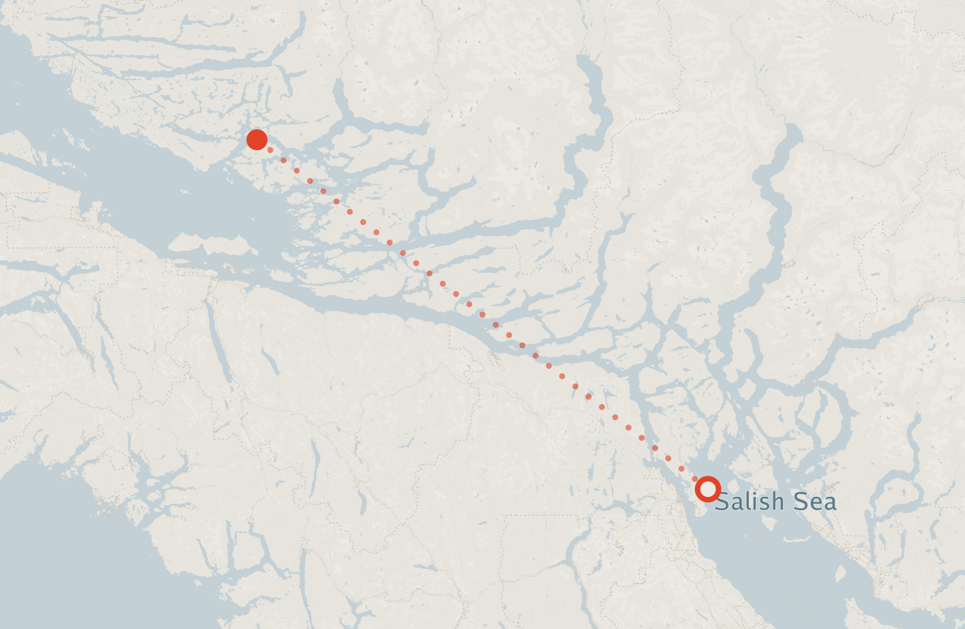 Activity map — real sighting points on an OpenStreetMap basemap
