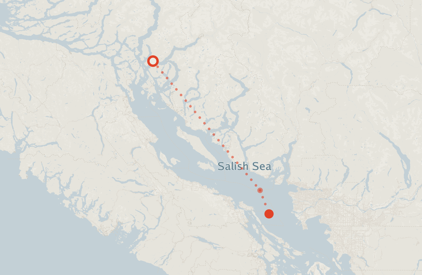 Activity map — real sighting points on an OpenStreetMap basemap