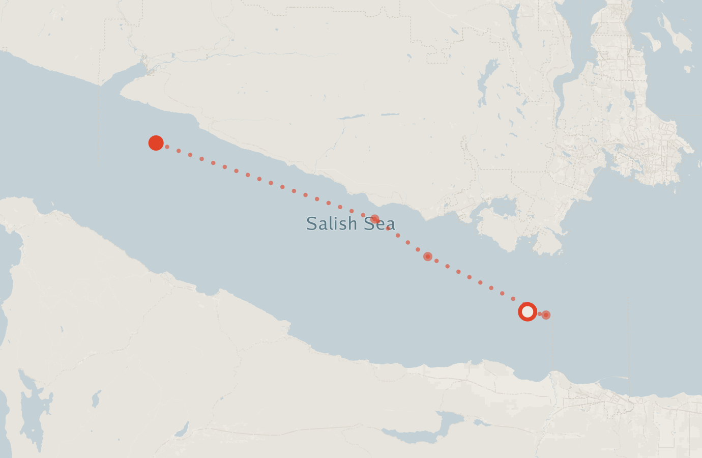 Activity map — real sighting points on an OpenStreetMap basemap