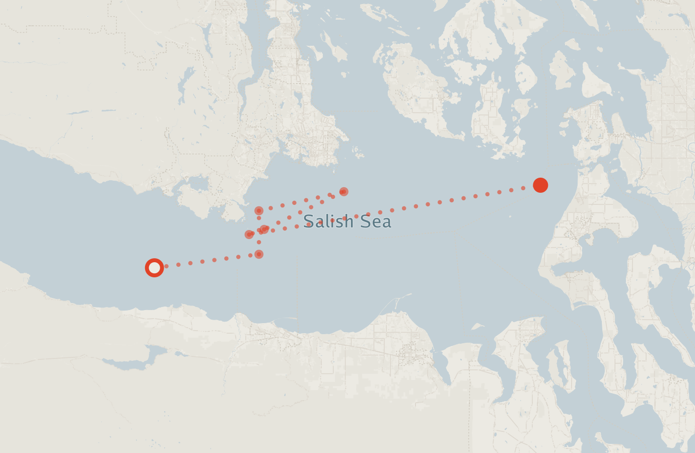 Activity map — real sighting points on an OpenStreetMap basemap