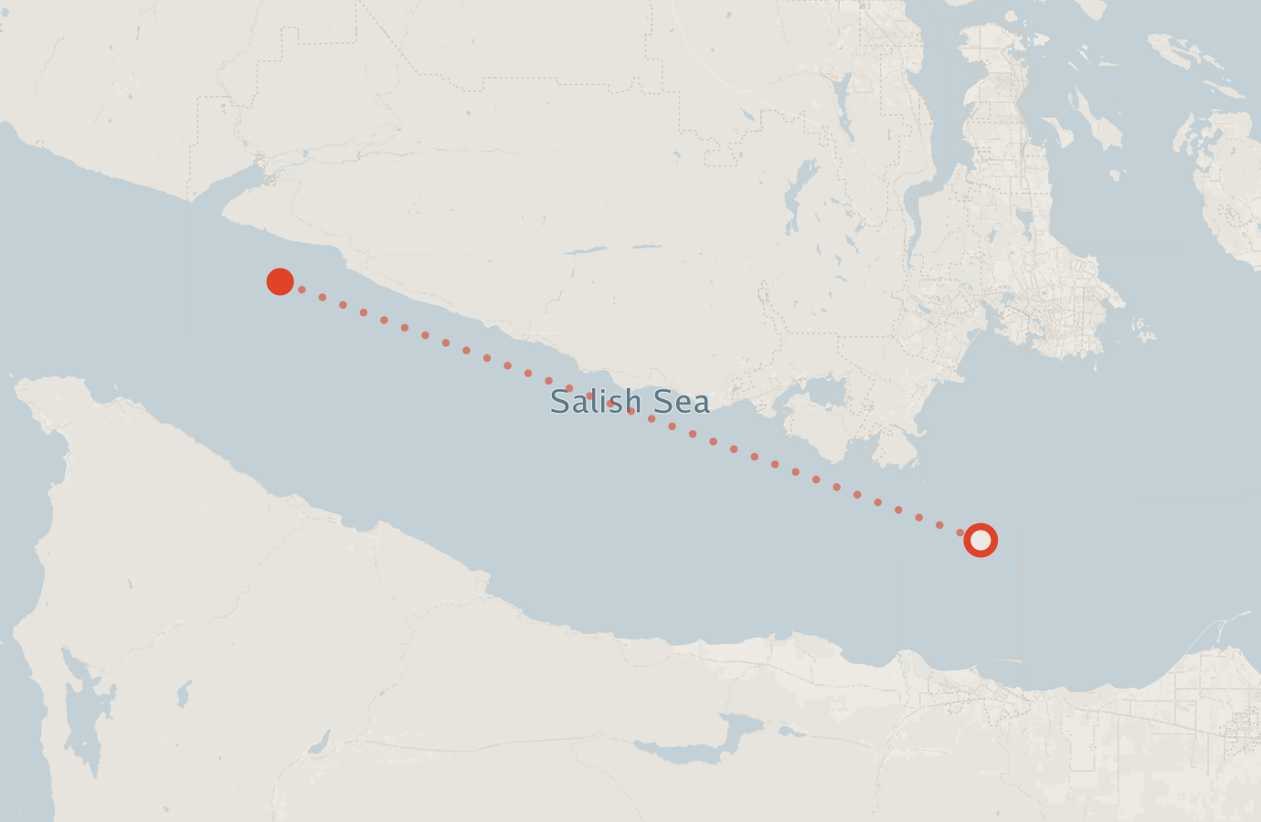Activity map — real sighting points on an OpenStreetMap basemap