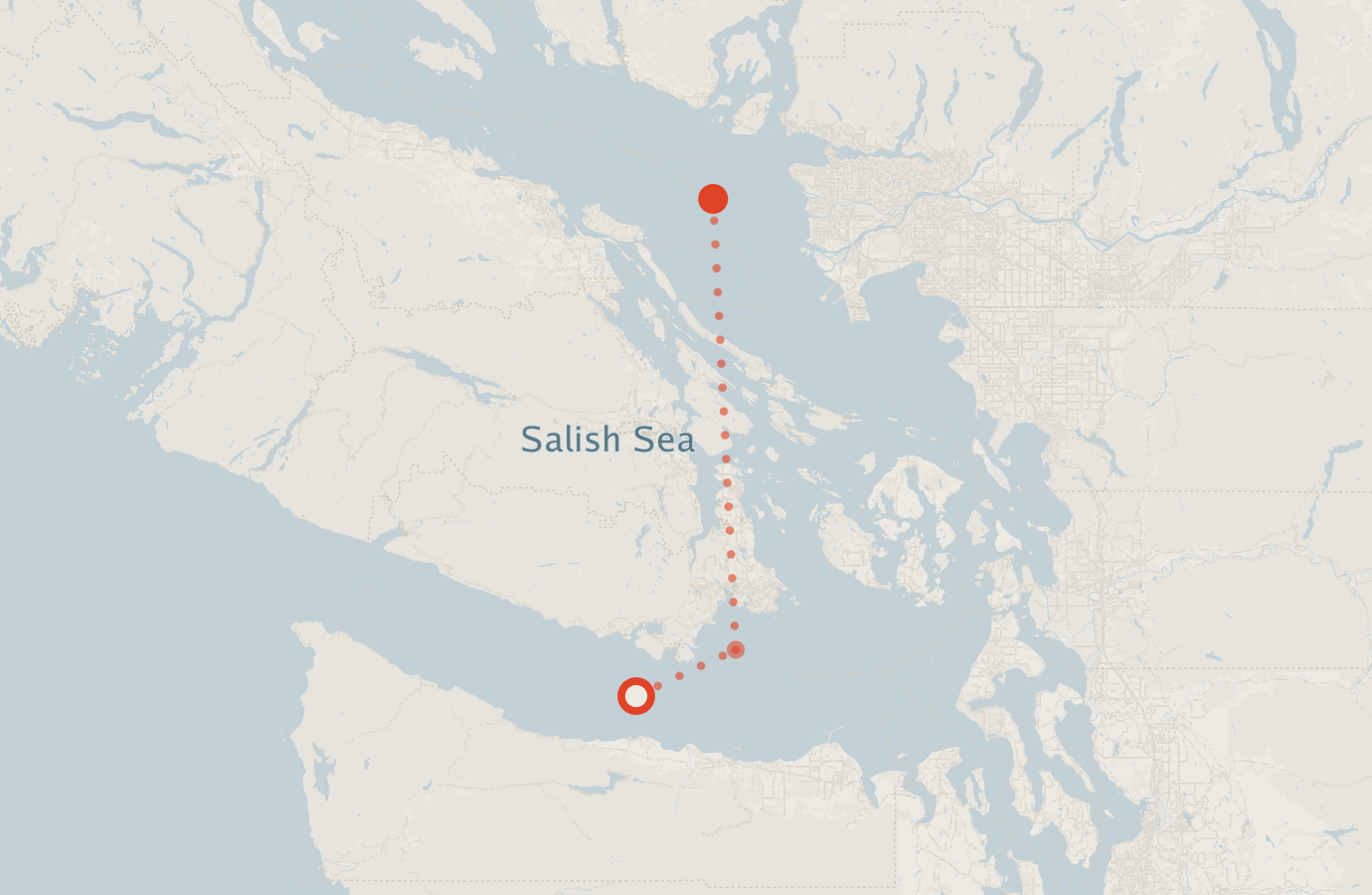 Activity map — real sighting points on an OpenStreetMap basemap
