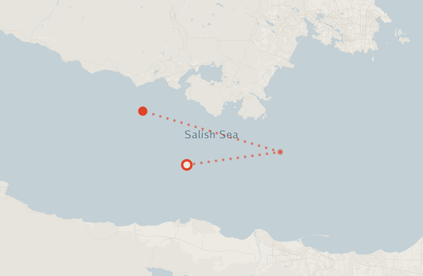 Activity map — real sighting points on an OpenStreetMap basemap