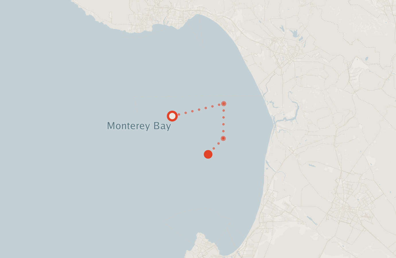 Activity map — real sighting points on an OpenStreetMap basemap