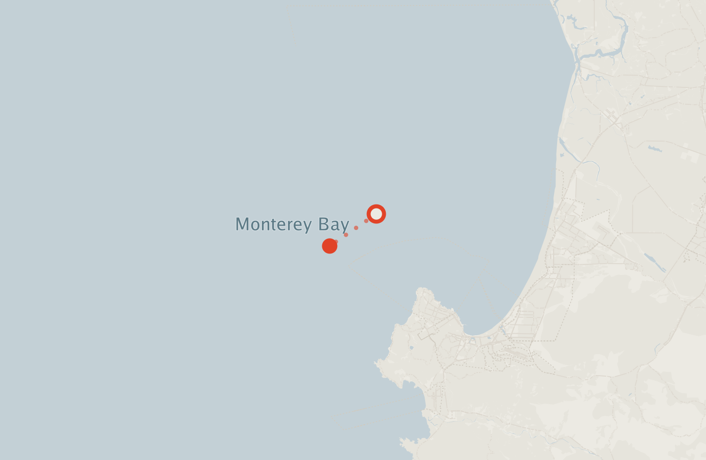 Activity map — real sighting points on an OpenStreetMap basemap