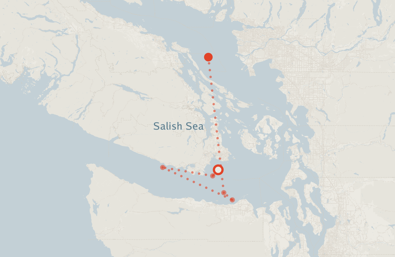 Activity map — real sighting points on an OpenStreetMap basemap