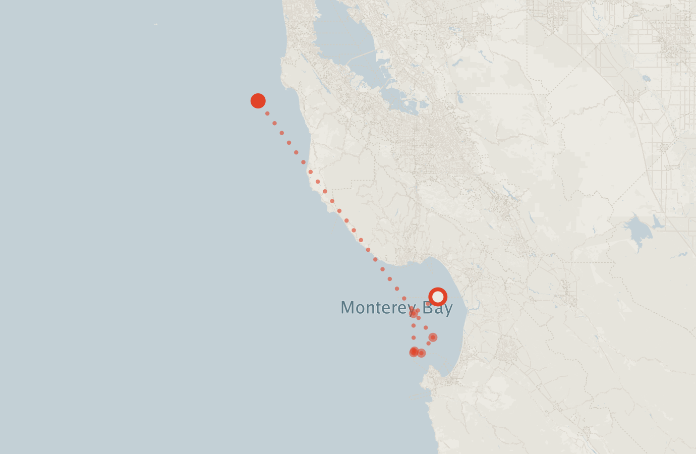 Activity map — real sighting points on an OpenStreetMap basemap