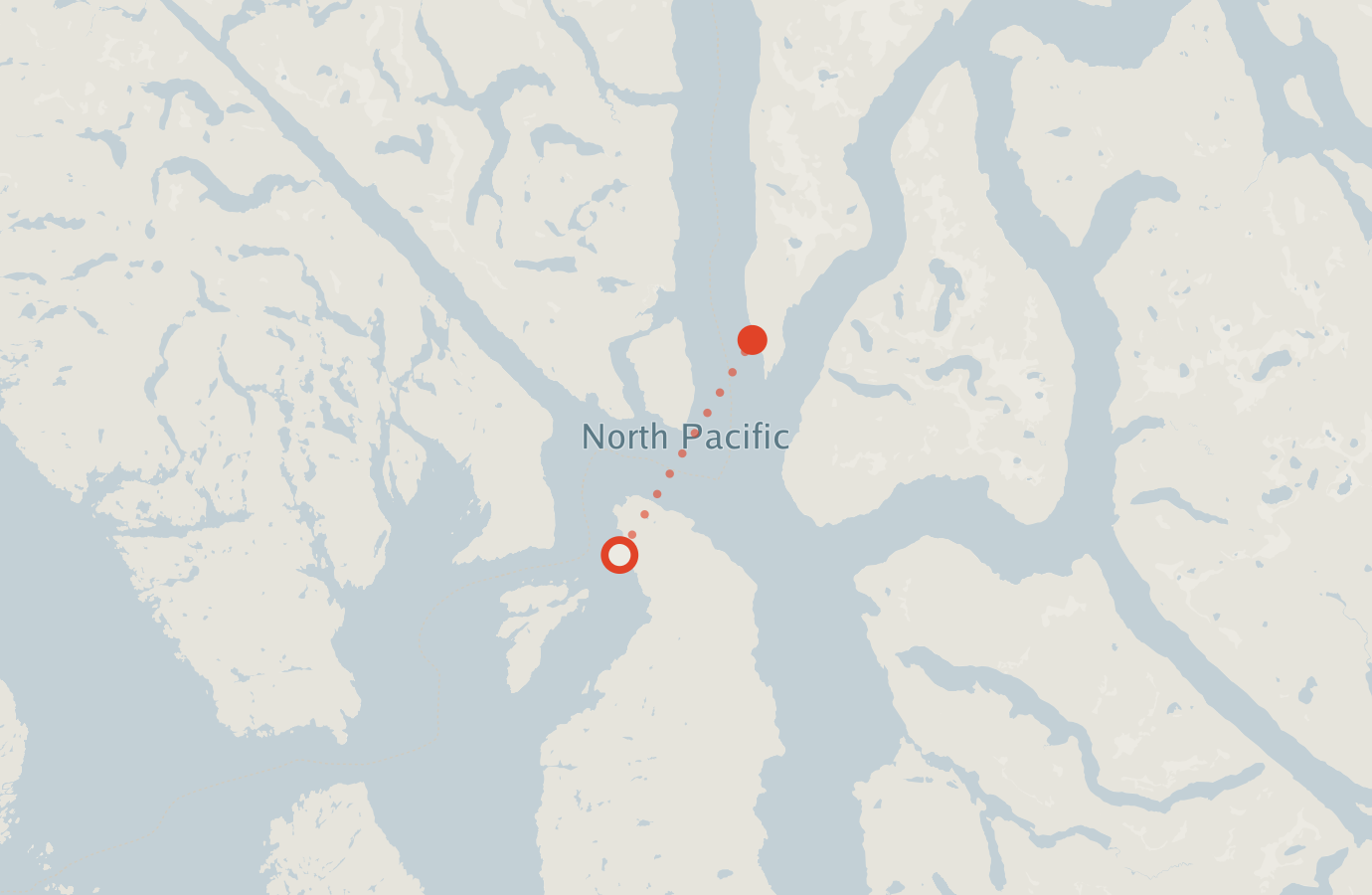 Activity map — real sighting points on an OpenStreetMap basemap