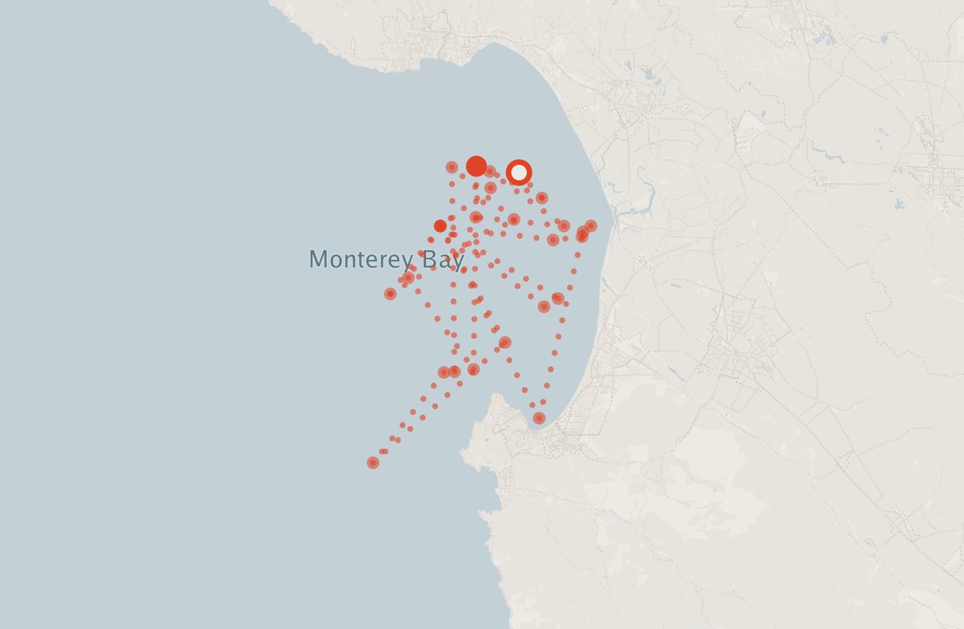 Activity map — real sighting points on an OpenStreetMap basemap