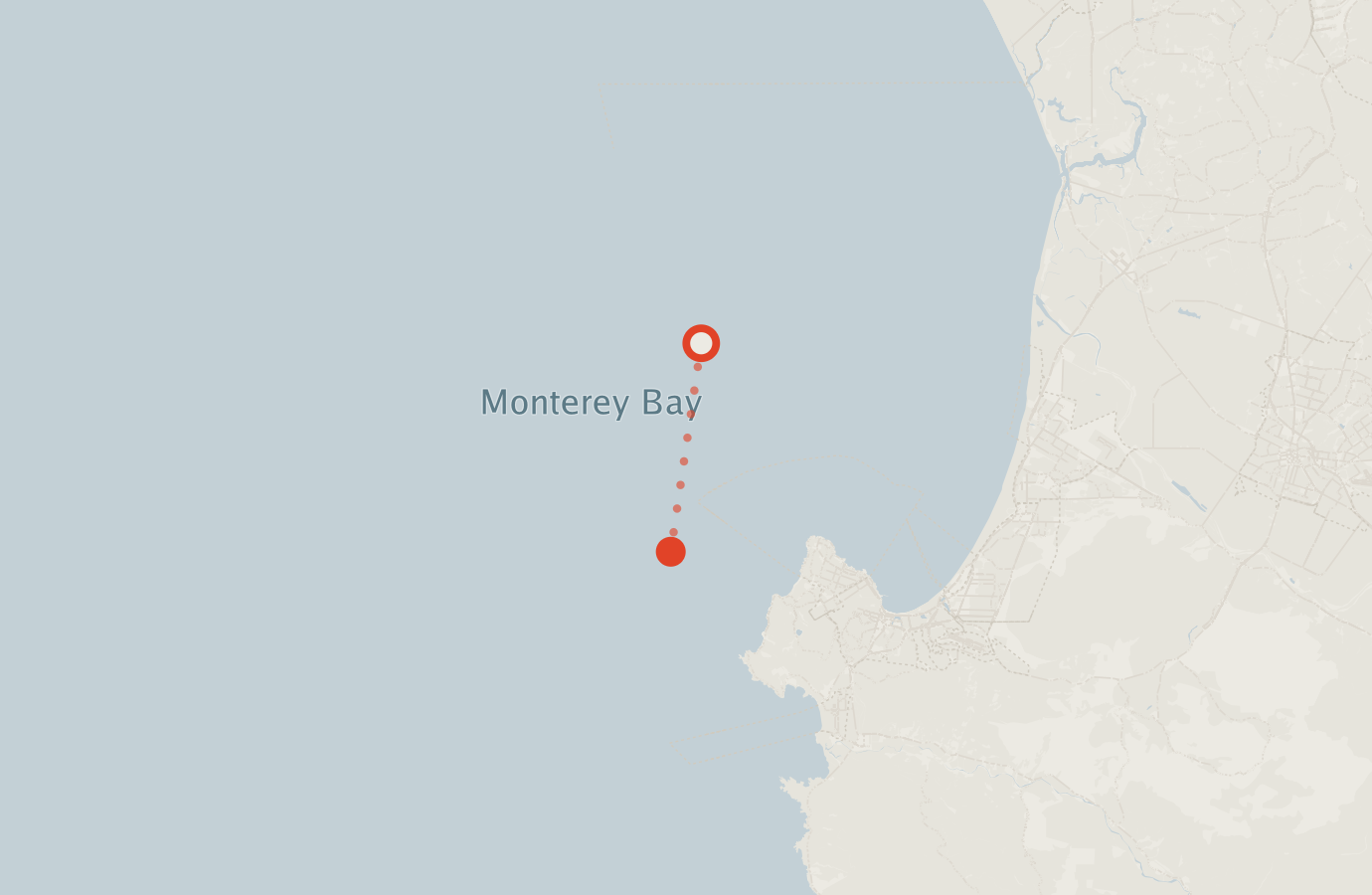 Activity map — real sighting points on an OpenStreetMap basemap