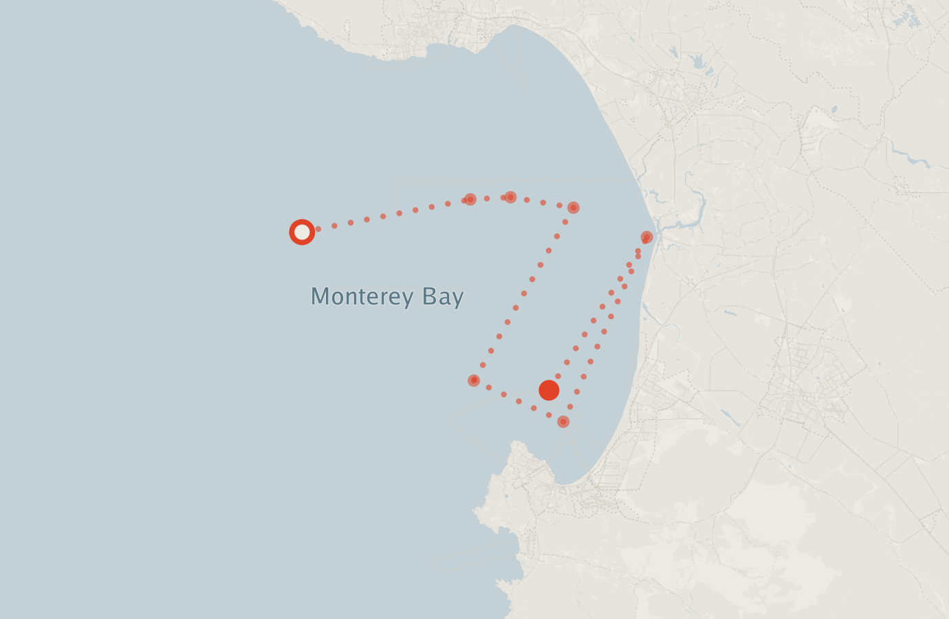 Activity map — real sighting points on an OpenStreetMap basemap