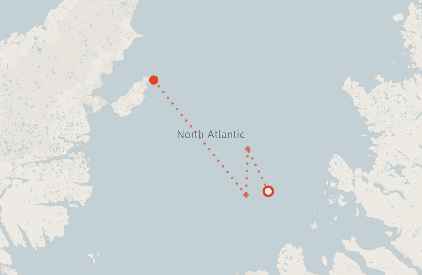 Activity map — real sighting points on an OpenStreetMap basemap