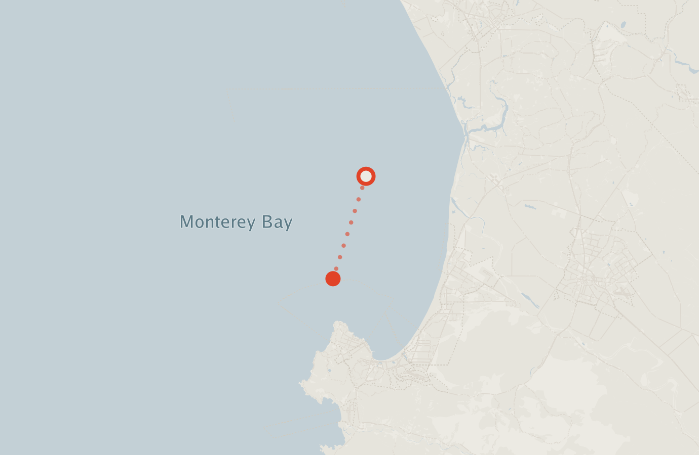 Activity map — real sighting points on an OpenStreetMap basemap