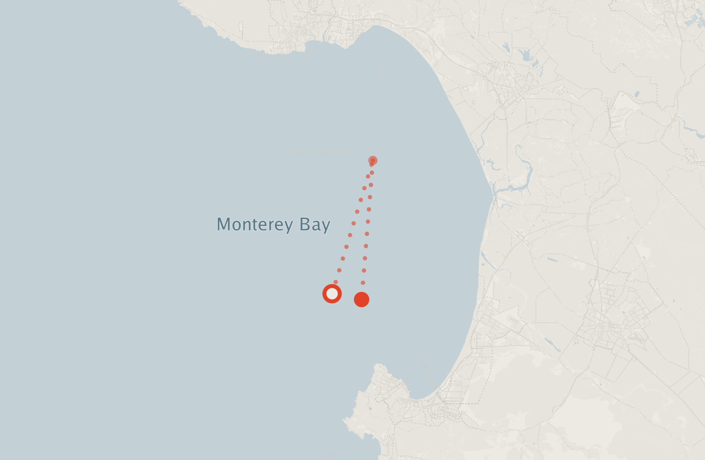 Activity map — real sighting points on an OpenStreetMap basemap