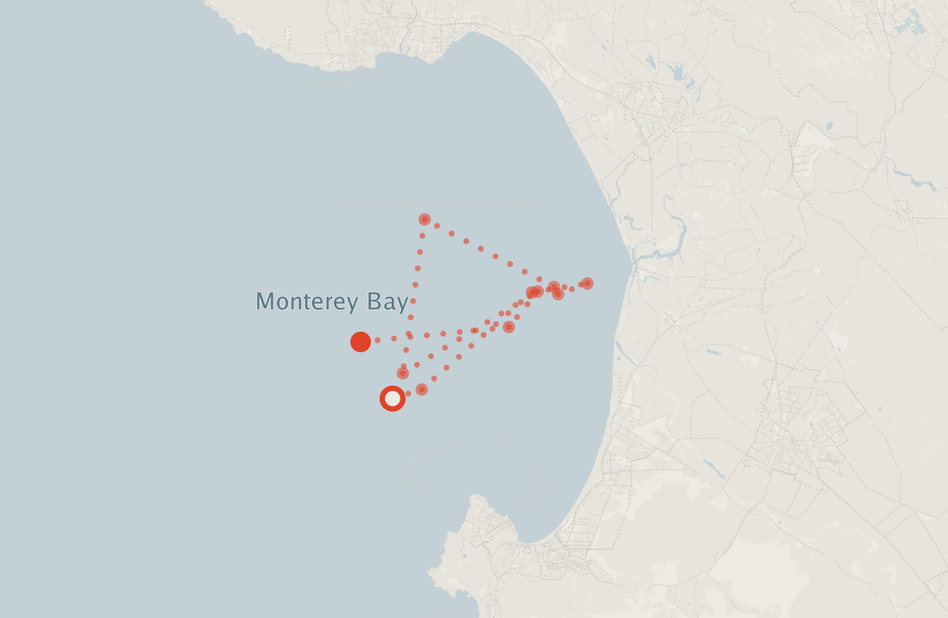 Activity map — real sighting points on an OpenStreetMap basemap