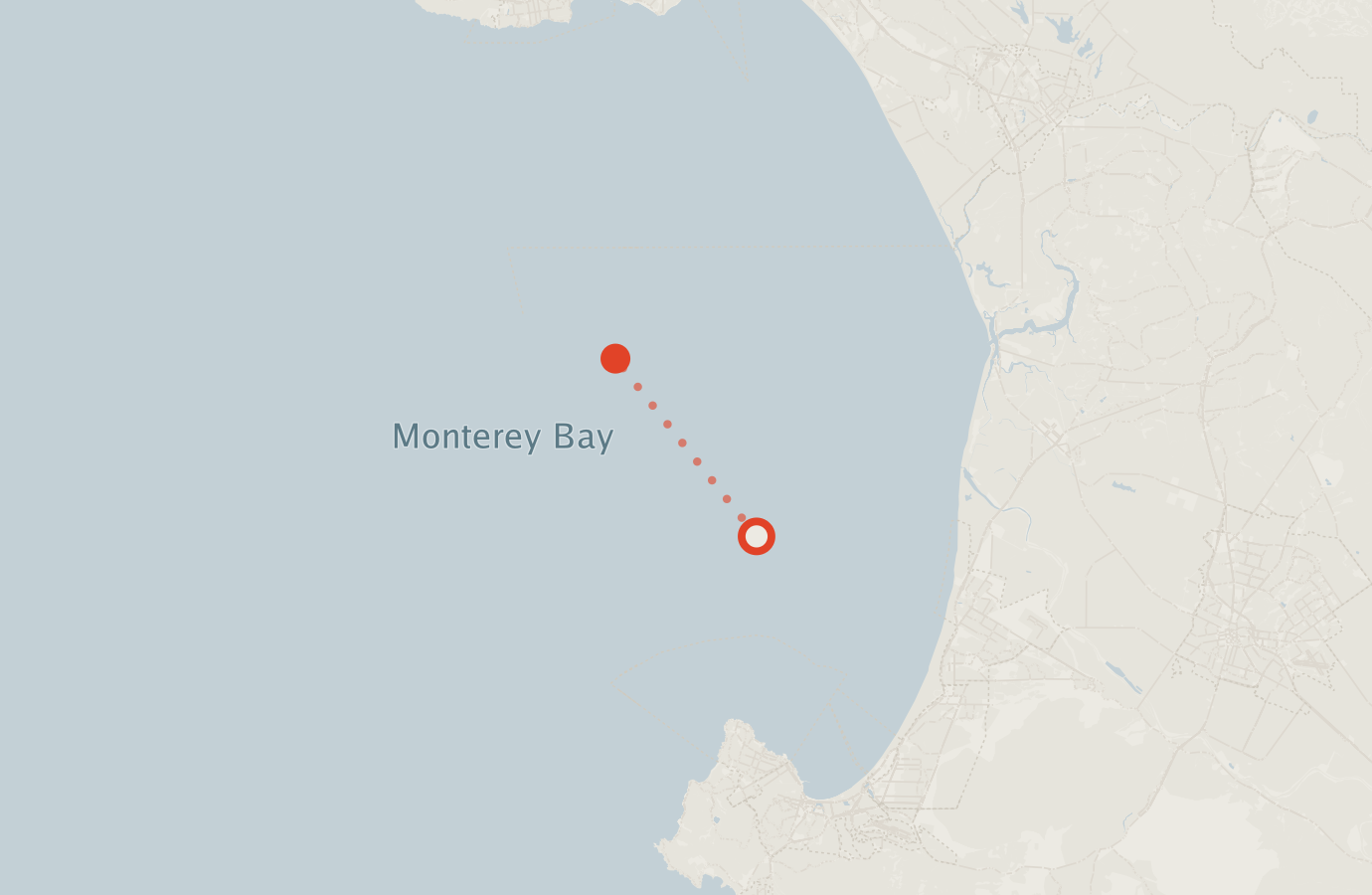 Activity map — real sighting points on an OpenStreetMap basemap