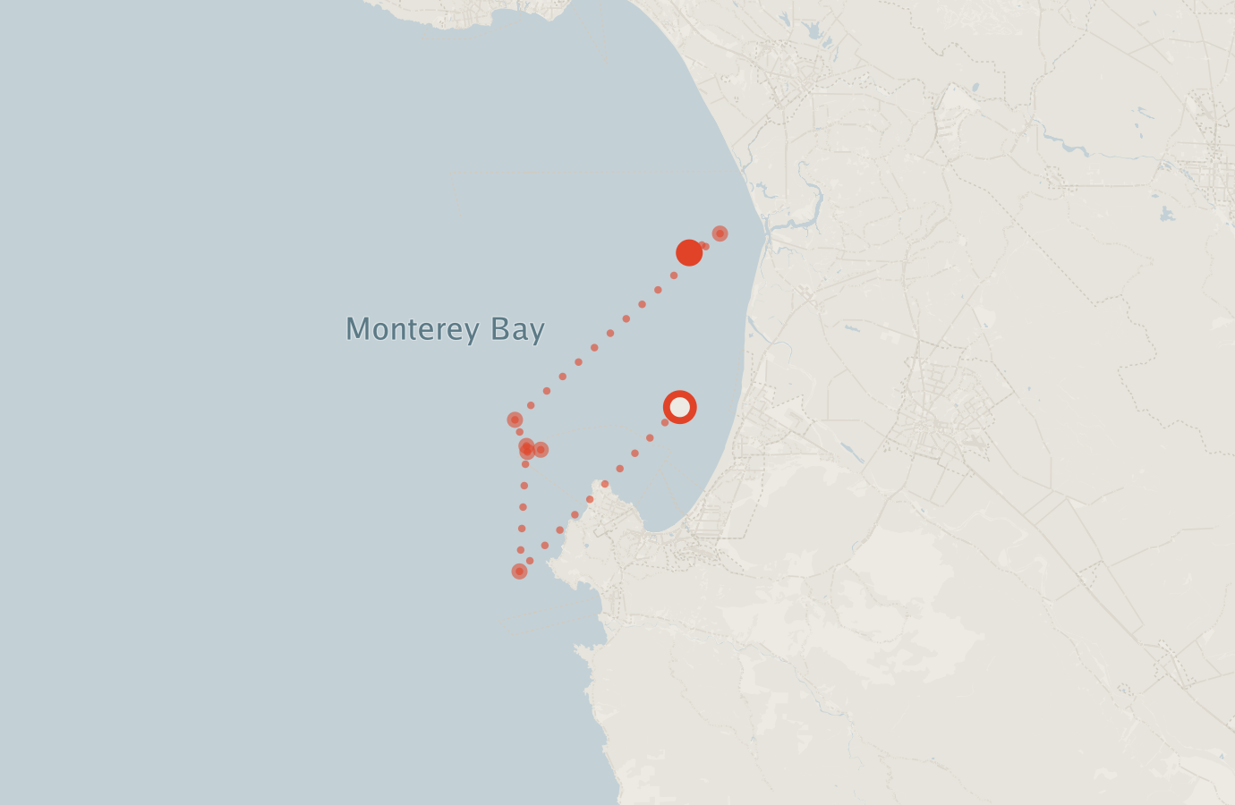 Activity map — real sighting points on an OpenStreetMap basemap