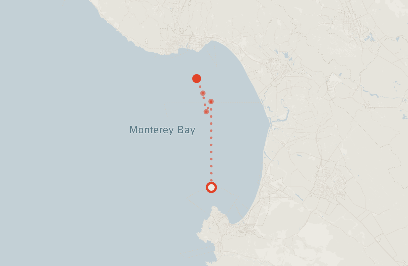 Activity map — real sighting points on an OpenStreetMap basemap