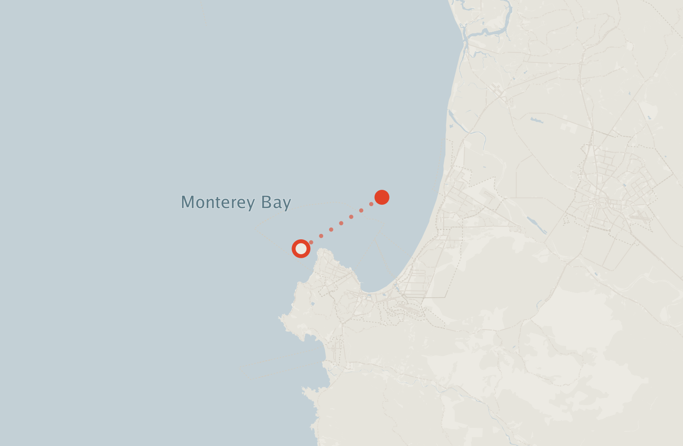 Activity map — real sighting points on an OpenStreetMap basemap