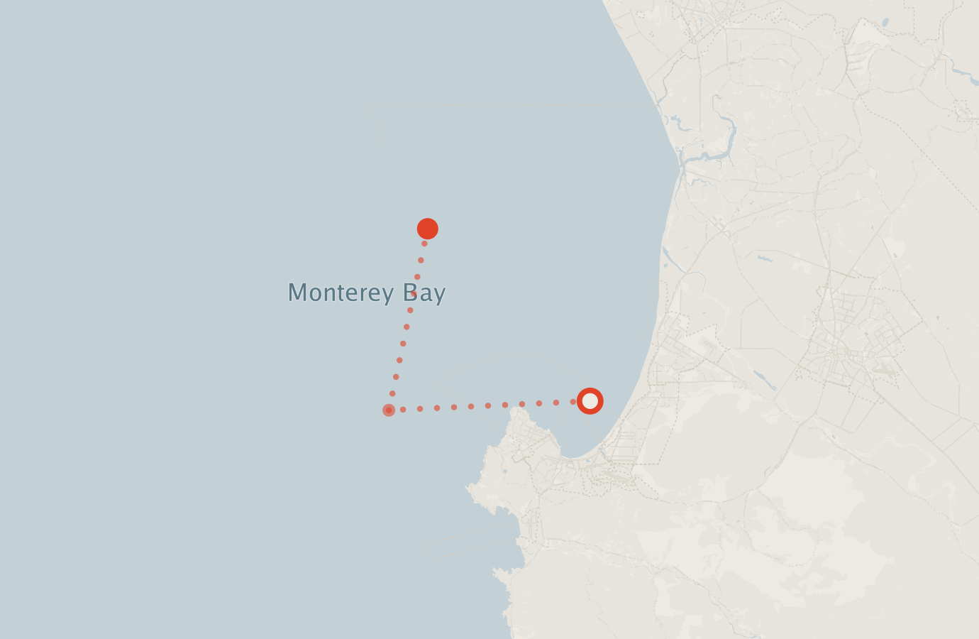 Activity map — real sighting points on an OpenStreetMap basemap