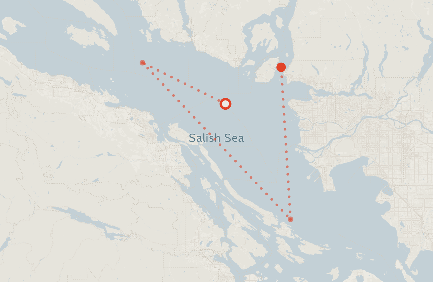 Activity map — real sighting points on an OpenStreetMap basemap
