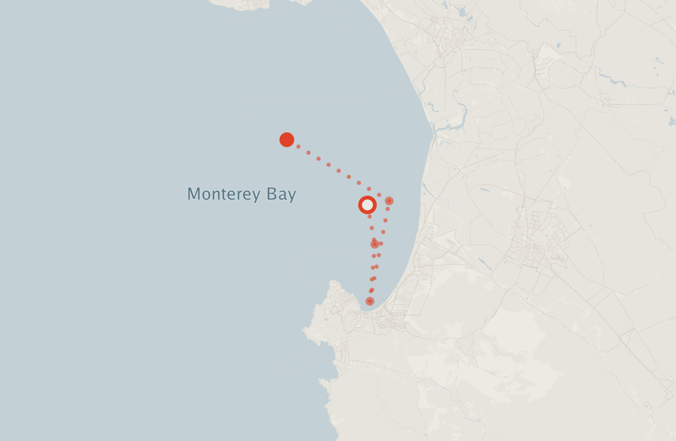 Activity map — real sighting points on an OpenStreetMap basemap