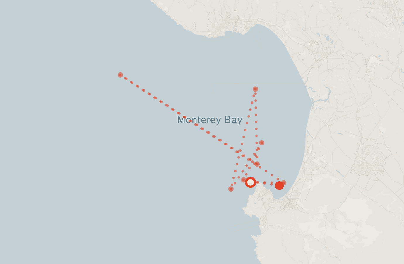 Activity map — real sighting points on an OpenStreetMap basemap