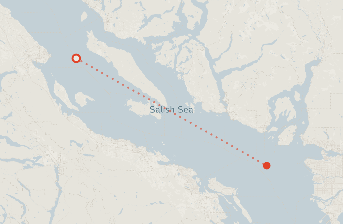 Activity map — real sighting points on an OpenStreetMap basemap