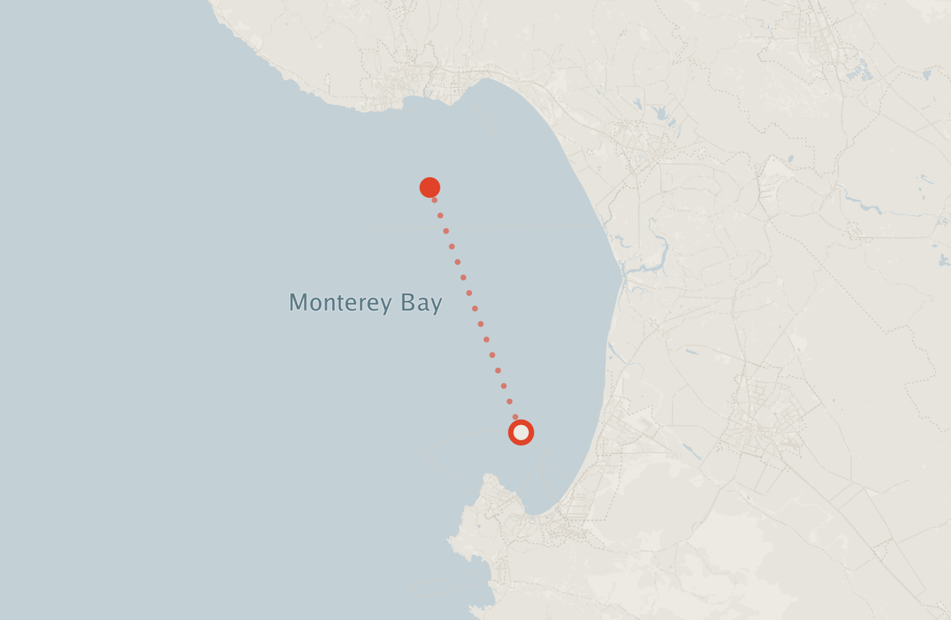 Activity map — real sighting points on an OpenStreetMap basemap